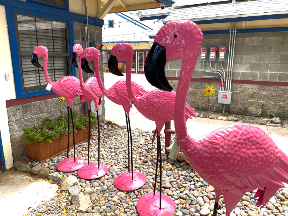 RE-flamingos